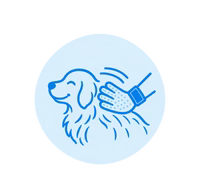 Gently Brush