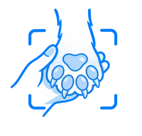 Position