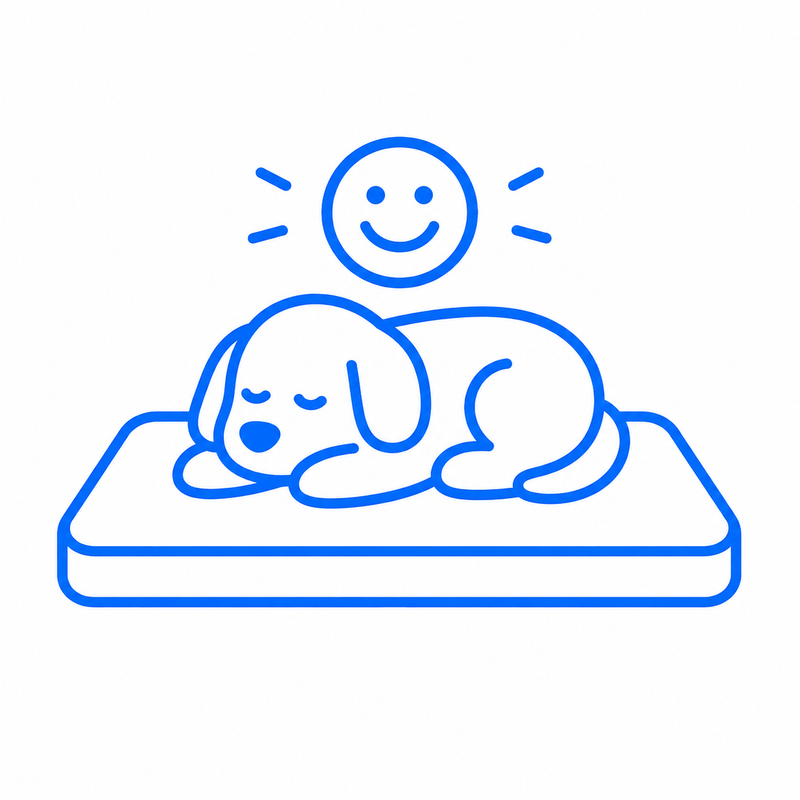 2. LET YOUR PET RELAX