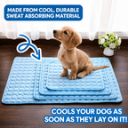 Hexlie Frost™ Self-Cooling Pet Mat Hexlie